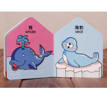 紙板書