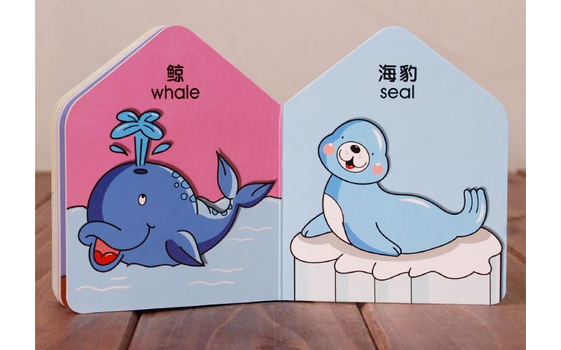 紙板書